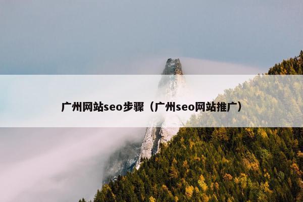广州网站seo步骤（广州seo网站推广）
