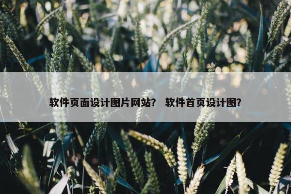 软件页面设计图片网站？ 软件首页设计图？