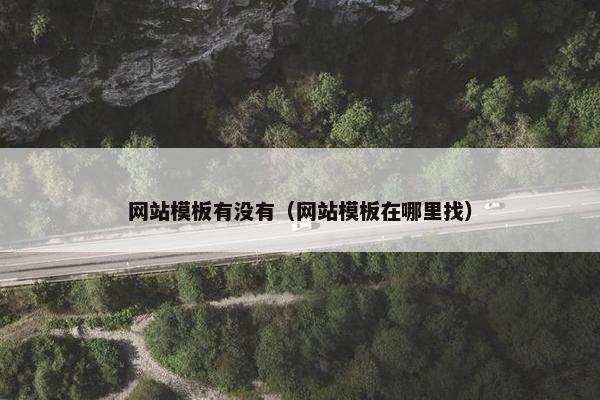 网站模板有没有（网站模板在哪里找）