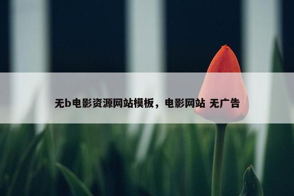 无b电影资源网站模板，电影网站 无广告