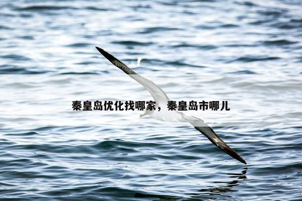秦皇岛优化找哪家，秦皇岛市哪儿