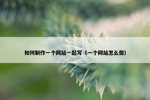 如何制作一个网站一起写（一个网站怎么做）