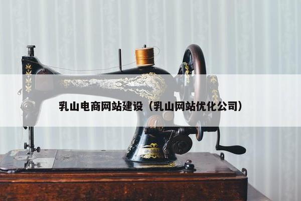 乳山电商网站建设（乳山网站优化公司）