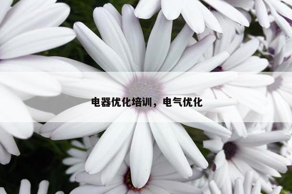 电器优化培训，电气优化