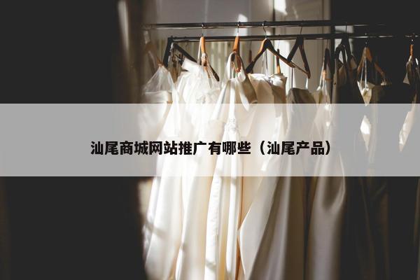 汕尾商城网站推广有哪些（汕尾产品）
