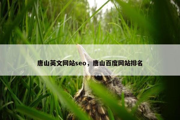 唐山英文网站seo，唐山百度网站排名