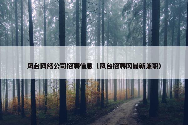 凤台网络公司招聘信息（凤台招聘网最新兼职）