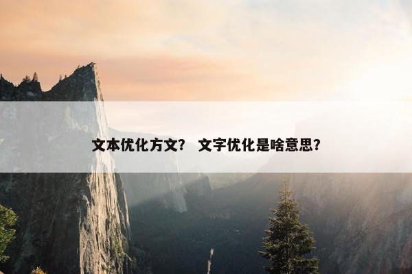 文本优化方文？ 文字优化是啥意思？