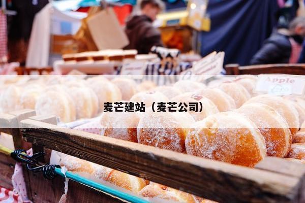 麦芒建站（麦芒公司）