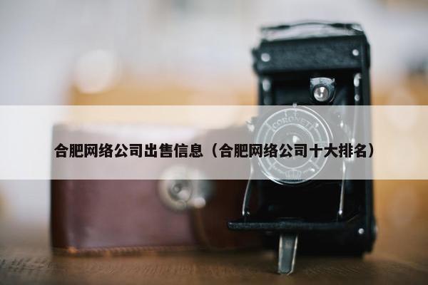 合肥网络公司出售信息（合肥网络公司十大排名）