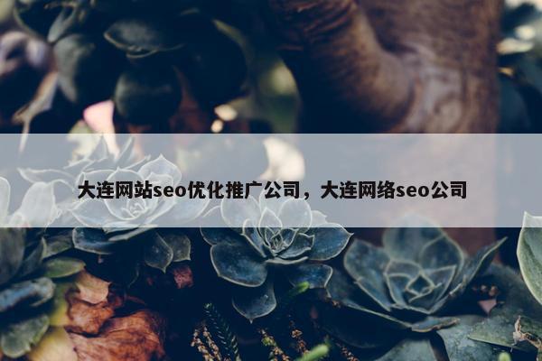 大连网站seo优化推广公司，大连网络seo公司