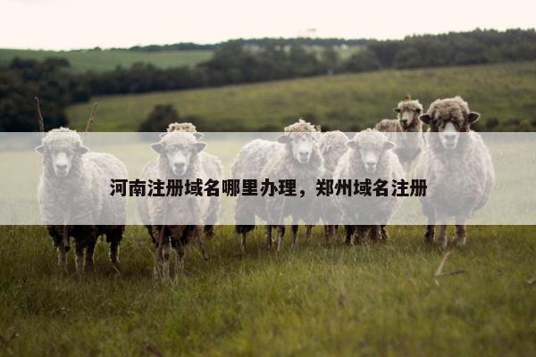 河南注册域名哪里办理，郑州域名注册