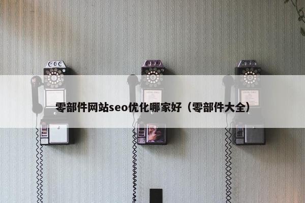 零部件网站seo优化哪家好（零部件大全）