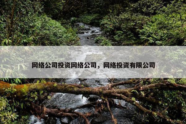 网络公司投资网络公司，网络投资有限公司