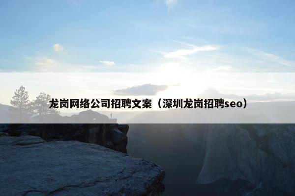 龙岗网络公司招聘文案（深圳龙岗招聘seo）