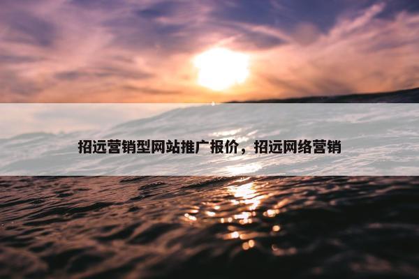 招远营销型网站推广报价，招远网络营销