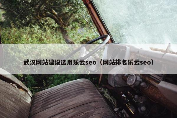 武汉网站建设选用乐云seo（网站排名乐云seo）