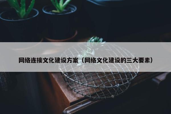 网络连接文化建设方案（网络文化建设的三大要素）