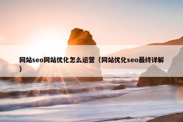 网站seo网站优化怎么运营（网站优化seo最终详解）