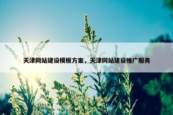 天津网站建设模板方案，天津网站建设推广服务
