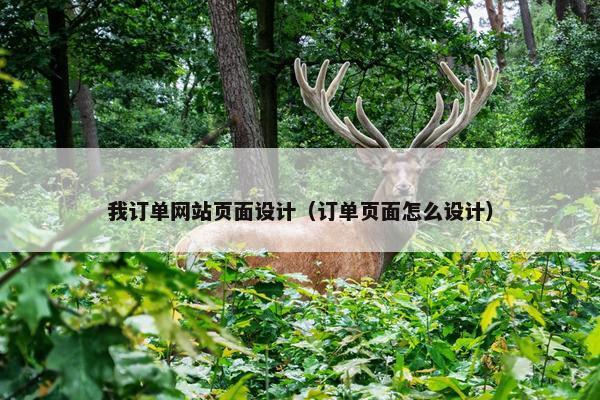 我订单网站页面设计（订单页面怎么设计）
