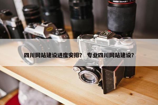 四川网站建设进度安排？ 专业四川网站建设？
