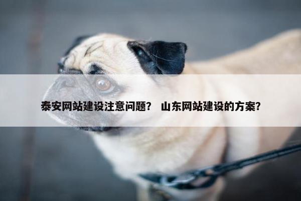 泰安网站建设注意问题？ 山东网站建设的方案？