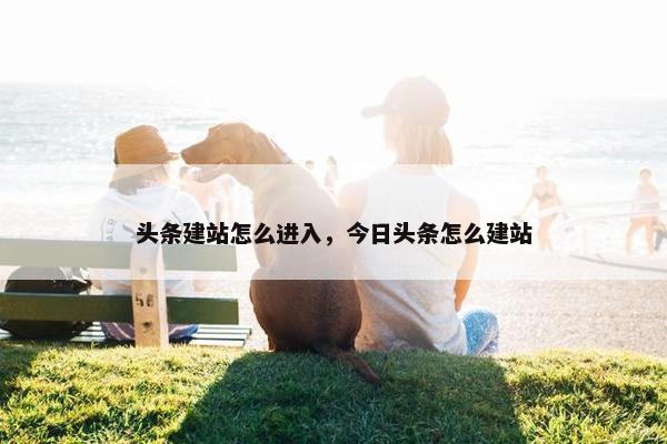头条建站怎么进入，今日头条怎么建站