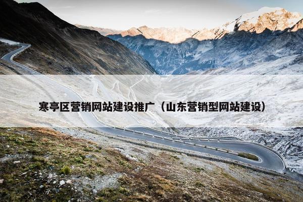 寒亭区营销网站建设推广（山东营销型网站建设）