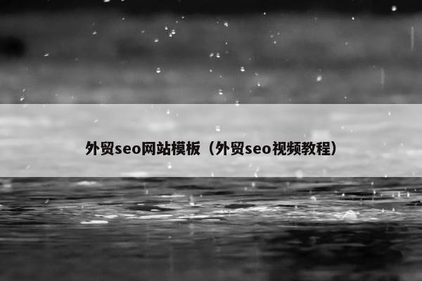 外贸seo网站模板（外贸seo视频教程）