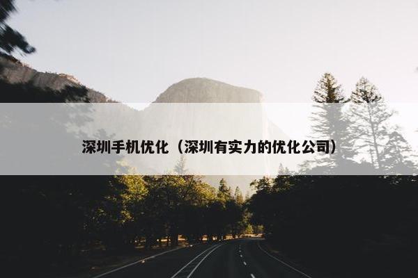 深圳手机优化（深圳有实力的优化公司）