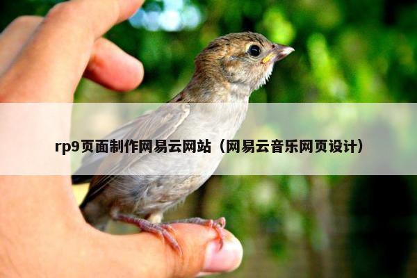 rp9页面制作网易云网站（网易云音乐网页设计）