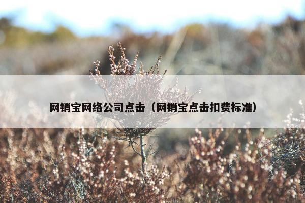 网销宝网络公司点击（网销宝点击扣费标准）