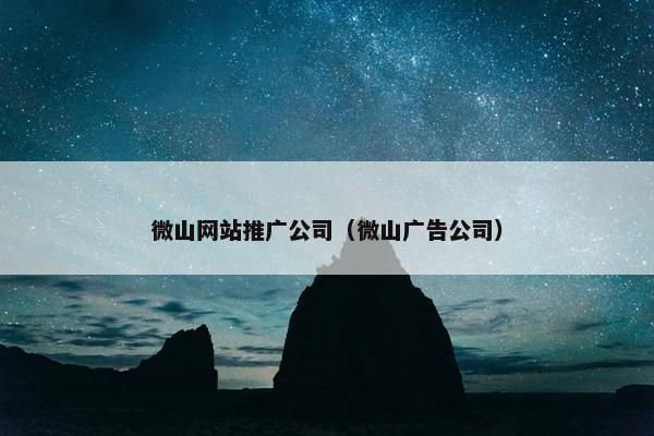 微山网站推广公司（微山广告公司）