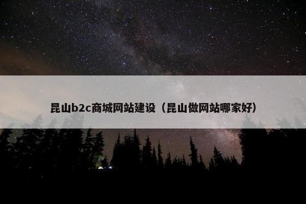 昆山b2c商城网站建设（昆山做网站哪家好）