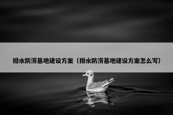 排水防涝基地建设方案（排水防涝基地建设方案怎么写）