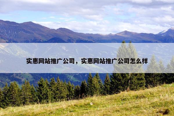 实惠网站推广公司，实惠网站推广公司怎么样