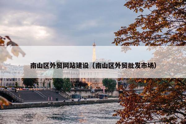 南山区外贸网站建设（南山区外贸批发市场）