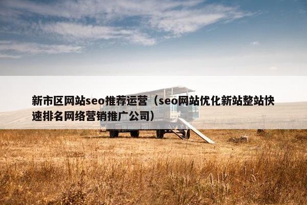 新市区网站seo推荐运营（seo网站优化新站整站快速排名网络营销推广公司）