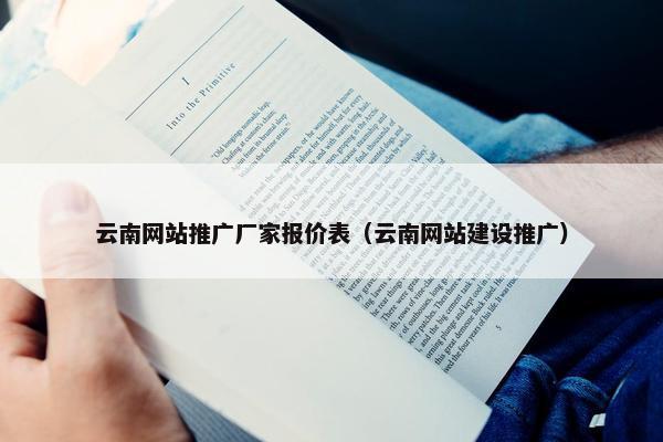 云南网站推广厂家报价表（云南网站建设推广）