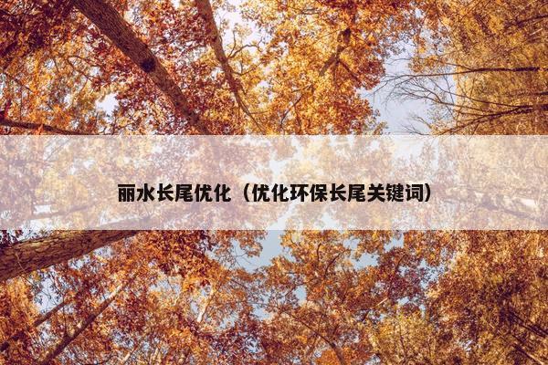 丽水长尾优化（优化环保长尾关键词）