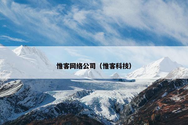惟客网络公司（惟客科技）