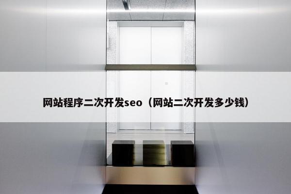 网站程序二次开发seo（网站二次开发多少钱）