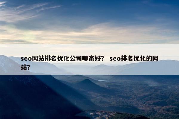 seo网站排名优化公司哪家好？ seo排名优化的网站？