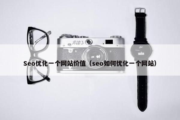 Seo优化一个网站价值（seo如何优化一个网站）