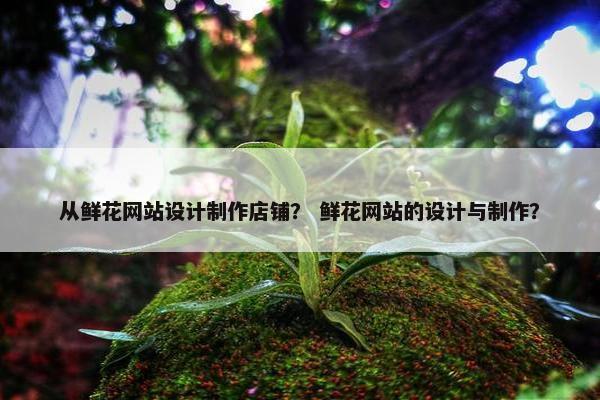 从鲜花网站设计制作店铺？ 鲜花网站的设计与制作？