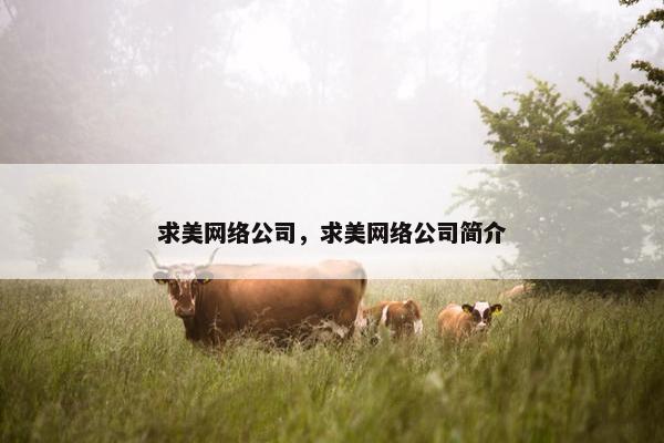 求美网络公司，求美网络公司简介