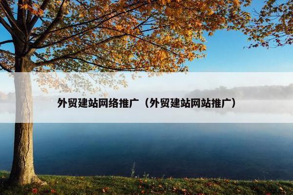 外贸建站网络推广（外贸建站网站推广）