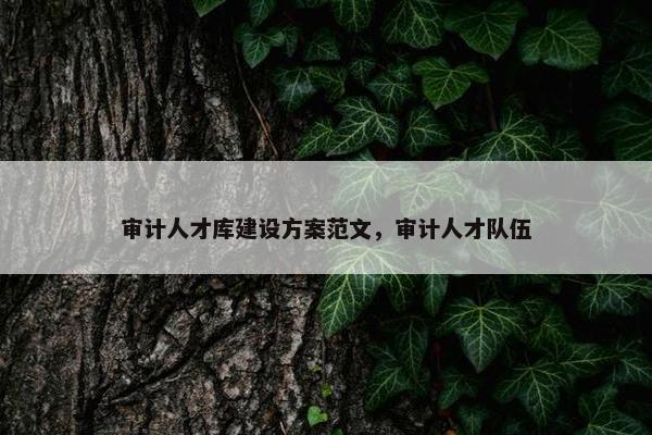 审计人才库建设方案范文，审计人才队伍