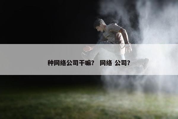 种网络公司干嘛？ 网络 公司？